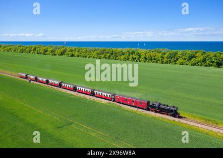 Molli-Dampflokomotive auf der Schmalspurbahn entlang der Ostsee zwischen Bad Doberan und Kühlungsborn, Mecklenburg-Vorpommern Stockfoto