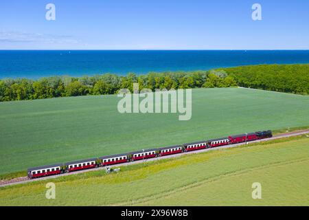 Molli-Dampflokomotive auf der Schmalspurbahn entlang der Ostsee zwischen Bad Doberan und Kühlungsborn, Mecklenburg-Vorpommern Stockfoto