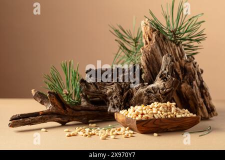 Geschälte Pinienkerne mit getrockneten Zedernschlingen und grünen Zweigen. Pinienkerne in Holzschale auf beigefarbenem Hintergrund. Stockfoto