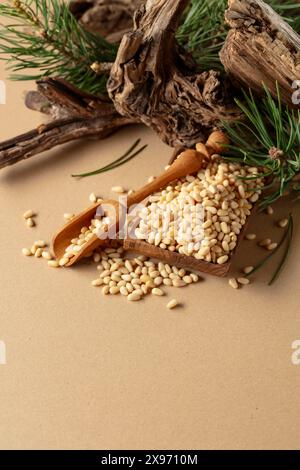 Geschälte Pinienkerne mit getrockneten Zedernschlingen und grünen Zweigen. Pinienkerne in Holzschale auf beigefarbenem Hintergrund. Stockfoto