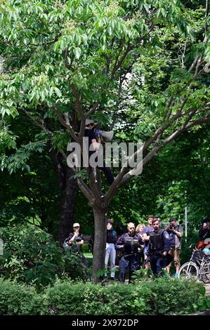 Wien, Österreich. Mai 2024. Polizei bricht propalästinensisches Protestlager vor der TU Wien auf Stockfoto