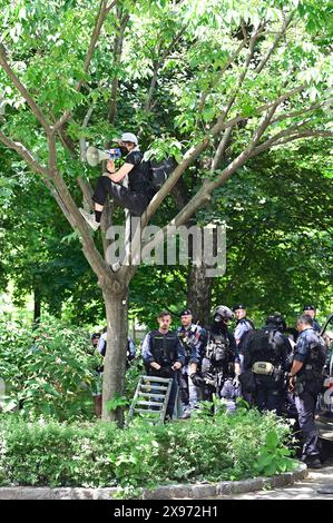 Wien, Österreich. Mai 2024. Polizei bricht propalästinensisches Protestlager vor der TU Wien auf Stockfoto