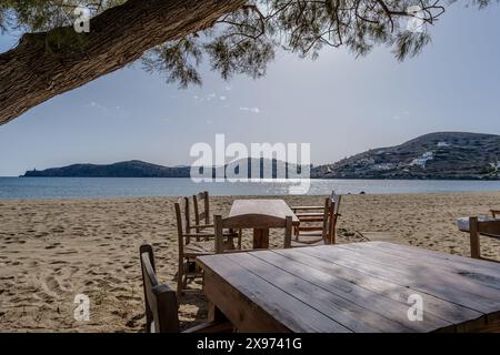 Blick auf Tische und Stühle neben einem Baum am Gialos Beach in iOS Griechenland Stockfoto