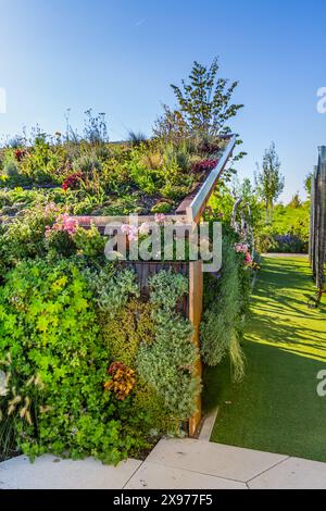 Gartenhaus mit begrünter Dachkonstruktion und vertikalem Garten, begrüntes Dachkonzept Stockfoto