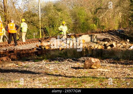 Lineseitiges Feuer, Feuerwehrleute in Anwesenheit, Creech Bottom, Swanage Railway Strict Bulleid Steam Gala 2017 Stockfoto