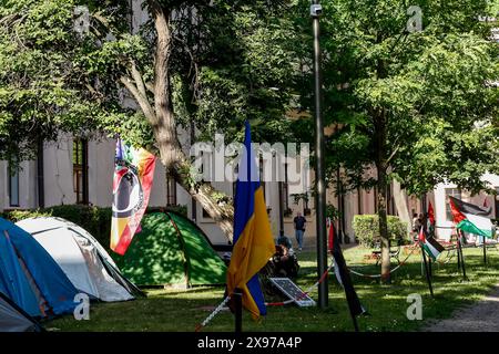 28. Mai 2024, Krakau, Malopolskie, Polen: Blick auf die Zelte von Studenten während sie ihren Arbeitsstreik auf dem Hof des Collegium Broscianum, Jagiellonen-Universität, in einer bedeutenden Grodzka-Straße für eine Woche halten, um Palästina zu unterstützen. Die Studenten führten einen friedlichen Angriff gegen Israel auf Palästina durch. Polnische Studenten protestierten gegen das, was sie als Völkermord bezeichnen, als mehr als 35 000 Palästinenser in diesem siebenmonatigen Konflikt getötet wurden. Israel Griff den Gazastreifen an, nachdem die Hamas am 7. Oktober 2023 mehr als 11 hundert Menschen in Israel infiltriert und getötet hatte. (Kreditbild: © Dominika Zarzycka/S Stockfoto