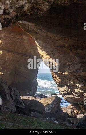 Die interessante Felsformation Devils Punchbowl ist ein State Natural Area in der Nähe von Newport und Otter Rock, Oregon, USA. Stockfoto