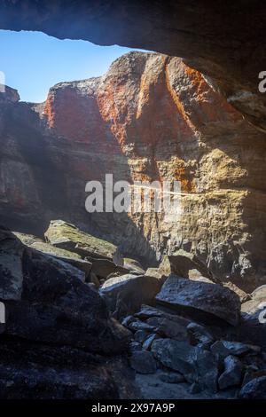 Die interessante Felsformation Devils Punchbowl ist ein State Natural Area in der Nähe von Newport und Otter Rock, Oregon, USA. Stockfoto