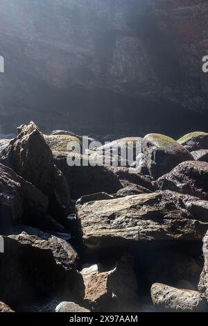 Die interessante Felsformation Devils Punchbowl ist ein State Natural Area in der Nähe von Newport und Otter Rock, Oregon, USA. Stockfoto