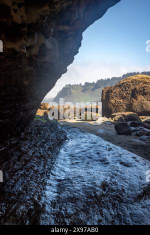 Die interessante Felsformation Devils Punchbowl ist ein State Natural Area in der Nähe von Newport und Otter Rock, Oregon, USA. Stockfoto