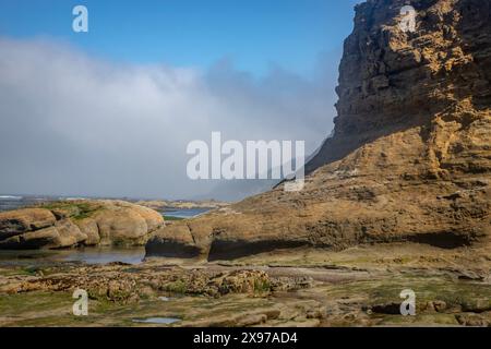 Die interessante Felsformation Devils Punchbowl ist ein State Natural Area in der Nähe von Newport und Otter Rock, Oregon, USA. Stockfoto