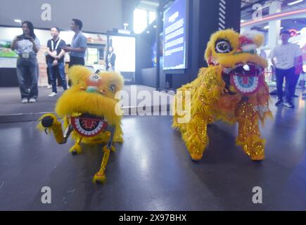 Hangzhou, China. Mai 2024. Besucher beobachten einen Roboterhund beim 20. China International Cartoon and Animation Festival am 29. Mai 2024 in Hangzhou, China. (Foto: Costfoto/NurPhoto) Credit: NurPhoto SRL/Alamy Live News Stockfoto