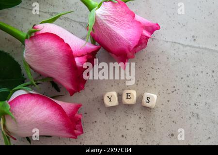 Answr - ja. Ausrufewort auf dem Steintisch Hintergrund mit rosa Blumen. Stockfoto