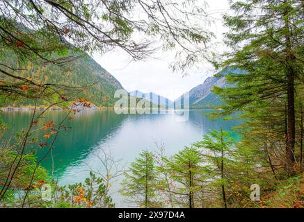 Landschaft eines klaren Sees (Plansee) im Herbst in Tirol Stockfoto