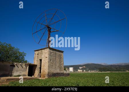 Alte Windmühle auf grüner Wiese mit blauem Himmel und Hügel im Hintergrund, Mallorca. Berühmte Touristenattraktionen auf Mallorca - über 5000 Windmühlen überall Stockfoto