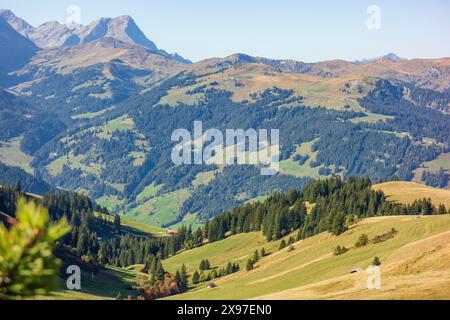 Grüne Wälder und Wiesen unter klarem blauen Himmel, umgeben von hohen Bergen, Bergpanorama mit zerklüfteten Bergen und grünen Tälern, saas Fee Stockfoto