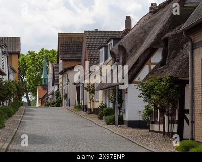 Historische kopfsteingepflasterte Dorfstraße mit reetgedeckten Häusern und Backsteinhäusern, gesäumt von Bäumen, Straße mit historischen reetgedeckten Häusern in verschiedenen Bereichen Stockfoto