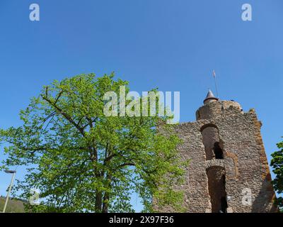 Burgturm aus Stein, umgeben von grünen Bäumen und einem klaren blauen Himmel an einem sonnigen Tag, alte Burgruinen über einem Fluss mit grünen Bäumen und blauem Himmel Stockfoto