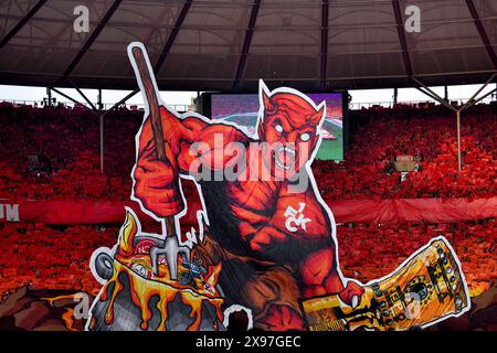 Red Devil mit Tasse, Choreo, Choreografie, Fan Action Fan Block, Fans, Fan Curve, Flaggen, Flaggen, Atmosphäre, atmosphärisch, 1. FC Kaiserslautern, 81 Stockfoto