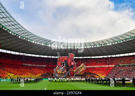 Red Devil mit Tasse, Choreo, Choreografie, Fan Action Fan Block, Fans, Fan Curve, Flaggen, Flaggen, Atmosphäre, atmosphärisch, 1. FC Kaiserslautern, 81 Stockfoto