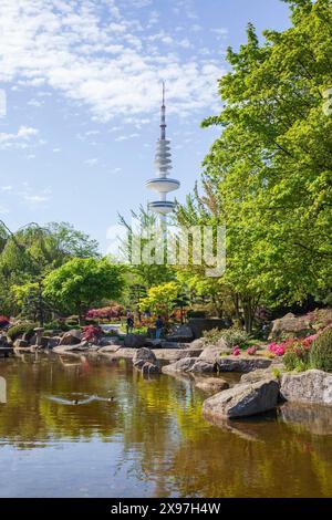 Japanischer Garten im Park Planten un Blomen mit Hamburger Fernsehturm und Parkteich im Frühjahr, Hamburg Stockfoto