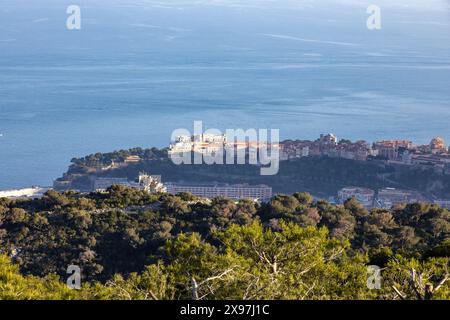 Blick über Monaco auf die Altstadt und den Palast Stockfoto
