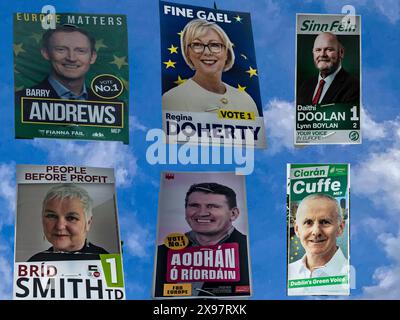 Poster der Wahlkampagne für einige Kandidaten des Europäischen Parlaments im Raum Dublin, Irland. Stockfoto