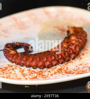 Gourmetgericht mit gegrilltem Kraken-Tentakel in einem schicken Restaurant Stockfoto