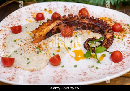 Gourmetgericht mit gegrilltem Kraken-Tentakel in einem schicken Restaurant Stockfoto