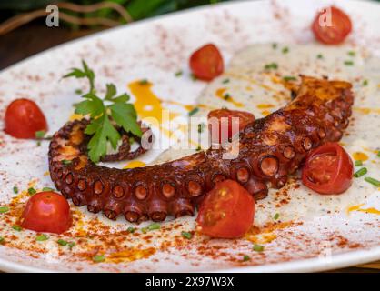 Gourmetgericht mit gegrilltem Kraken-Tentakel in einem schicken Restaurant Stockfoto