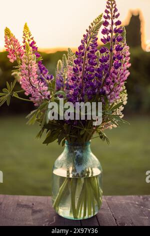 Lupinenstrauß im Glasgefäß auf dem rustikalen Holztisch im Garten am Sommerabend Stockfoto