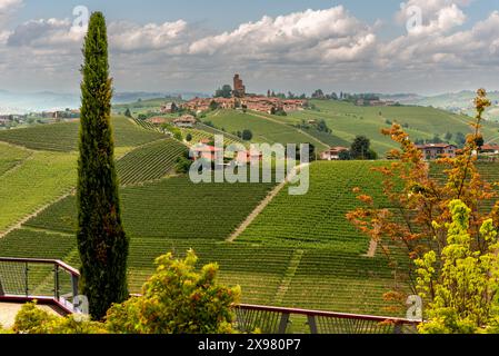 Landschaft von Serralunga di Alba, Italien, zwischen den Weinbergen auf den Hügeln der Langhe, UNESCO-Weltkulturerbe, typisches Weingebiet Barolo Stockfoto