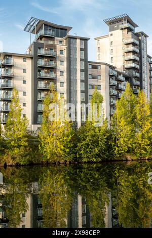 Neue Wohnungen in Cardiff, Wales, Großbritannien. 2023 Stockfoto