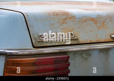 POTTERVILLE, MI - 23. JUNI 2021: Classic Mercedes 1976 300D Rückansicht Copy-Space Stockfoto