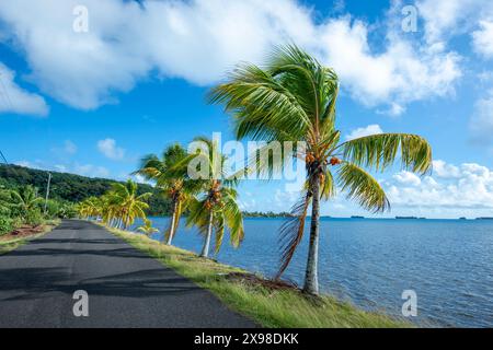 Malerischer Blick auf eine von Palmen gesäumte Straße auf Taha'a Island, Französisch-Polynesien Stockfoto