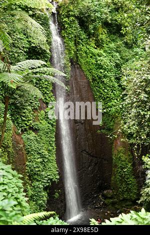 Blick auf einen Wasserfall, eine erneuerbare Wasserressource am Fuße des Mount Salak in Bogor, West Java, Indonesien. Stockfoto