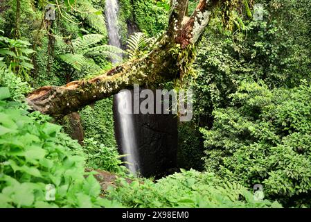 Blick auf einen Wasserfall, eine erneuerbare Wasserressource am Fuße des Mount Salak in Bogor, West Java, Indonesien. Stockfoto