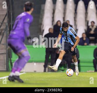 Curitiba, Brasilien. Mai 2024. Diego Costa aus Gremio während des Spiels zwischen Gremio und dem Strongsten (BOL) für die sechste Runde der Gruppe C der Copa Libertadores 2024 im Couto Pereira Stadium in Curitiba, Brasilien am 29. Mai. Foto: Richard Ducker/DiaEsportivo/Alamy Live News Credit: DiaEsportivo/Alamy Live News Stockfoto