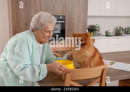 Seniorin füttert Pommerschen Hund auf dem Tisch in der Küche Stockfoto