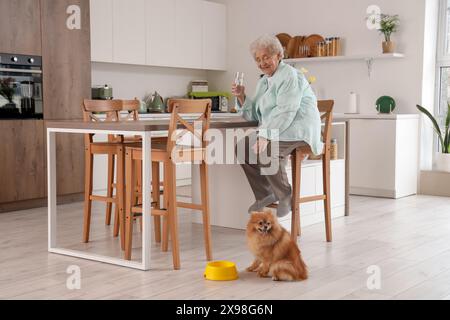 Seniorin mit Glas Wasser und Pommerschen Hund in der Küche Stockfoto