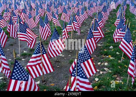 Amerikanische Flaggen im Flaggengarten am Memorial Day in Boston, MA, USA Stockfoto