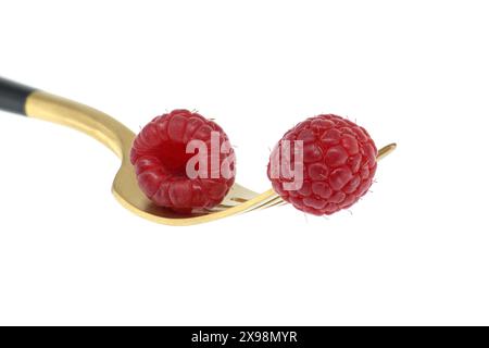 Rote Himbeeren auf goldener Gabel mit schwarzem Griff auf weißem Hintergrund, symbolisiert ein Konzept von gesunder Ernährung und Bio-Lebensmitteln Stockfoto