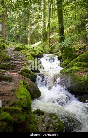 Kleiner Wasserfall, der über moosbedeckte Felsen in einem üppigen, grünen Wald kaskadiert. Die Szene ist ruhig, malerisch, natürliche Schönheit, ruhige Atmosphäre. Europa, Stockfoto