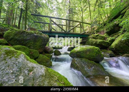 Kleine Brücke über einen ruhigen Waldbach, umgeben von moosigen Felsen und üppigen Bäumen. Europa, Deutschland, Schwarzwald, Buhlertal, Gertelbach. Stockfoto