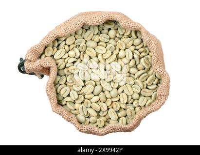 Rohe grüne Kaffeebohnen in einem geöffneten Schusssack, von oben. Nicht geröstete grüne Arabica-Kaffeebohnen, Samen von Beeren aus Coffea arabica. Stockfoto