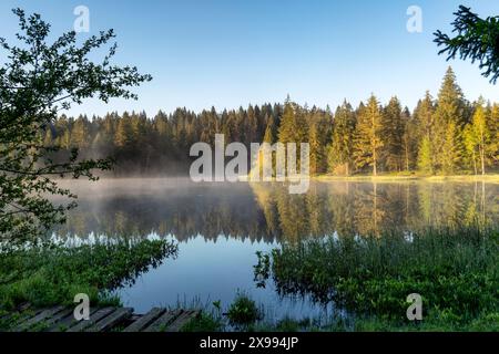 Der kleine Moorsee Etang de la Gruère im Schweizer Kanton Jura. Die Stimmung am Morgen kurz vor und nach Sonnenaufgang Stockfoto