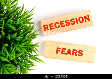 Symbol für Rezessionsängste. Konzeptworte REZESSIONSÄNGSTE auf Holzblöcken auf weißem Hintergrund mit einer Pflanze in der Komposition. Blick von oben Stockfoto