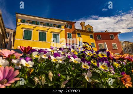 Enge Gassen der alten venezianischen Stadt Rovinj in Kroatien Istrien Stockfoto