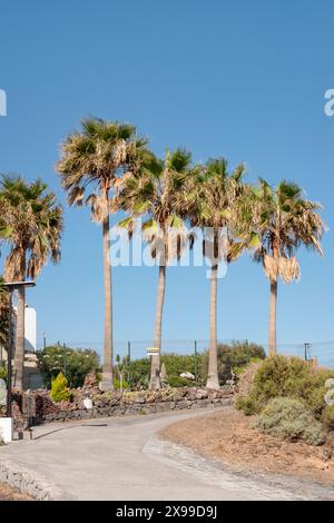 Küstenweg mit Palmen und Wohnhäusern, der mehrere Golfresorts von Amarilla Golf, Golf del Sur, San Blas bis Los Abrigos verbindet Stockfoto