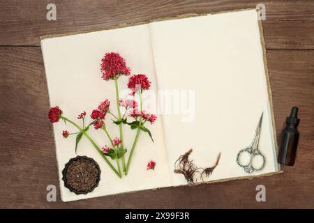 Rote Baldrian-Kräuterwurzel mit Blumen und altem Hanfheft auf rustikalem Holzhintergrund. Wird in der traditionellen natürlichen alternativen Kräutermedizin verwendet. Stockfoto